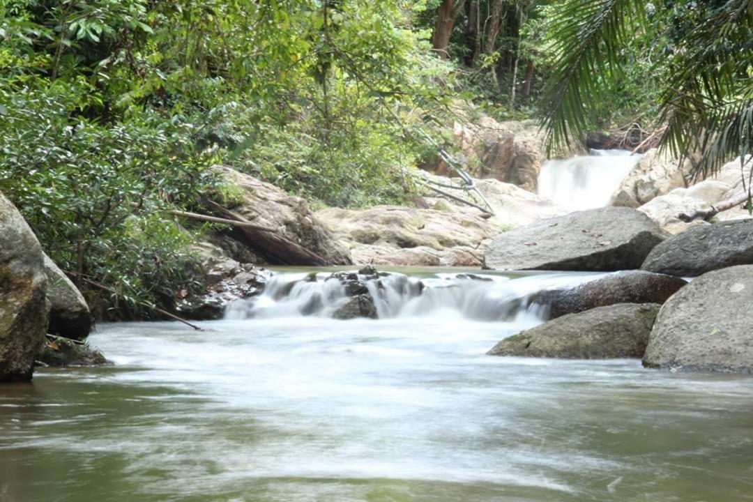 Rock Forest Chalet Bentong Exterior foto