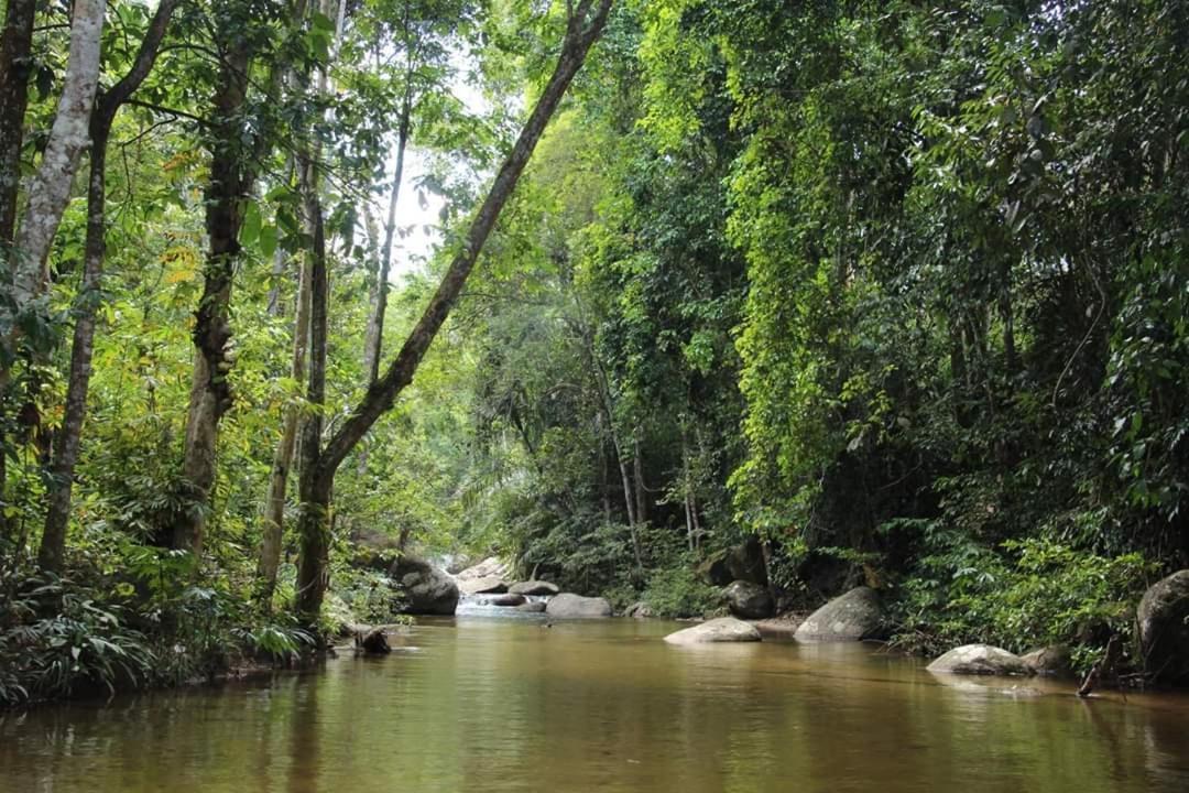 Rock Forest Chalet Bentong Exterior foto