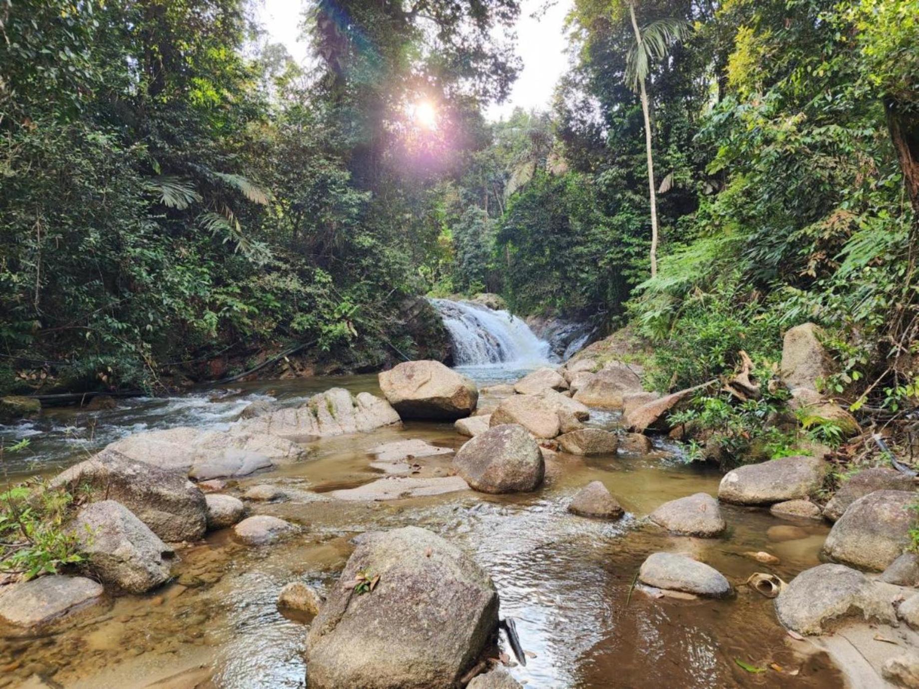 Rock Forest Chalet Bentong Exterior foto